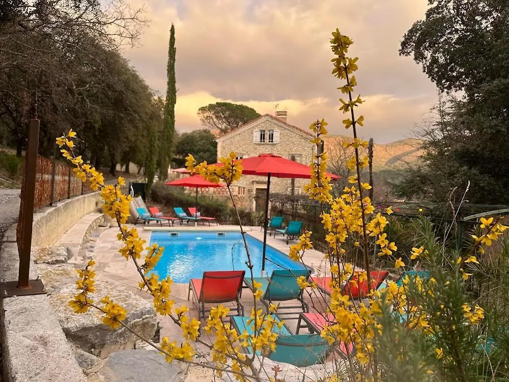 Suite Petite -Nice - Spa-Jacuzzi - Massage- Sauna - 4 Saisons - Piscine Chauffee Toute L'Annee - Pool View- Heated Pool 800M City Centre Nyons Franciaország